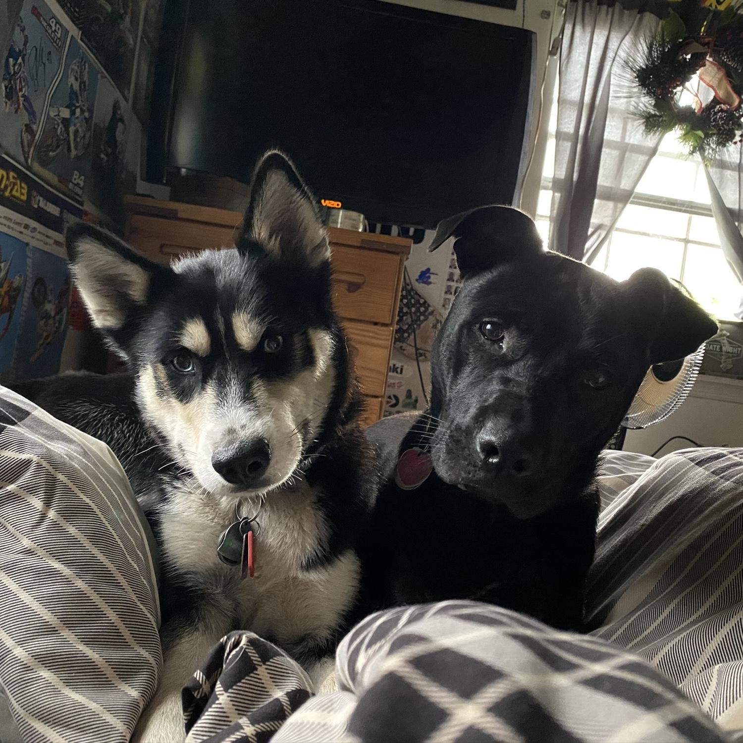 Archie & Paris ~ 2020