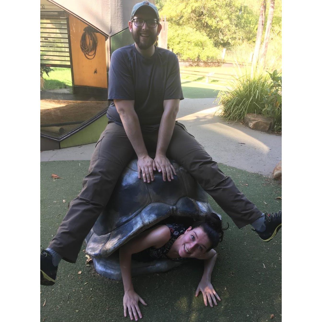 The Melbourne Zoo, Australia - March 2018