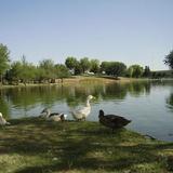 Parque Central