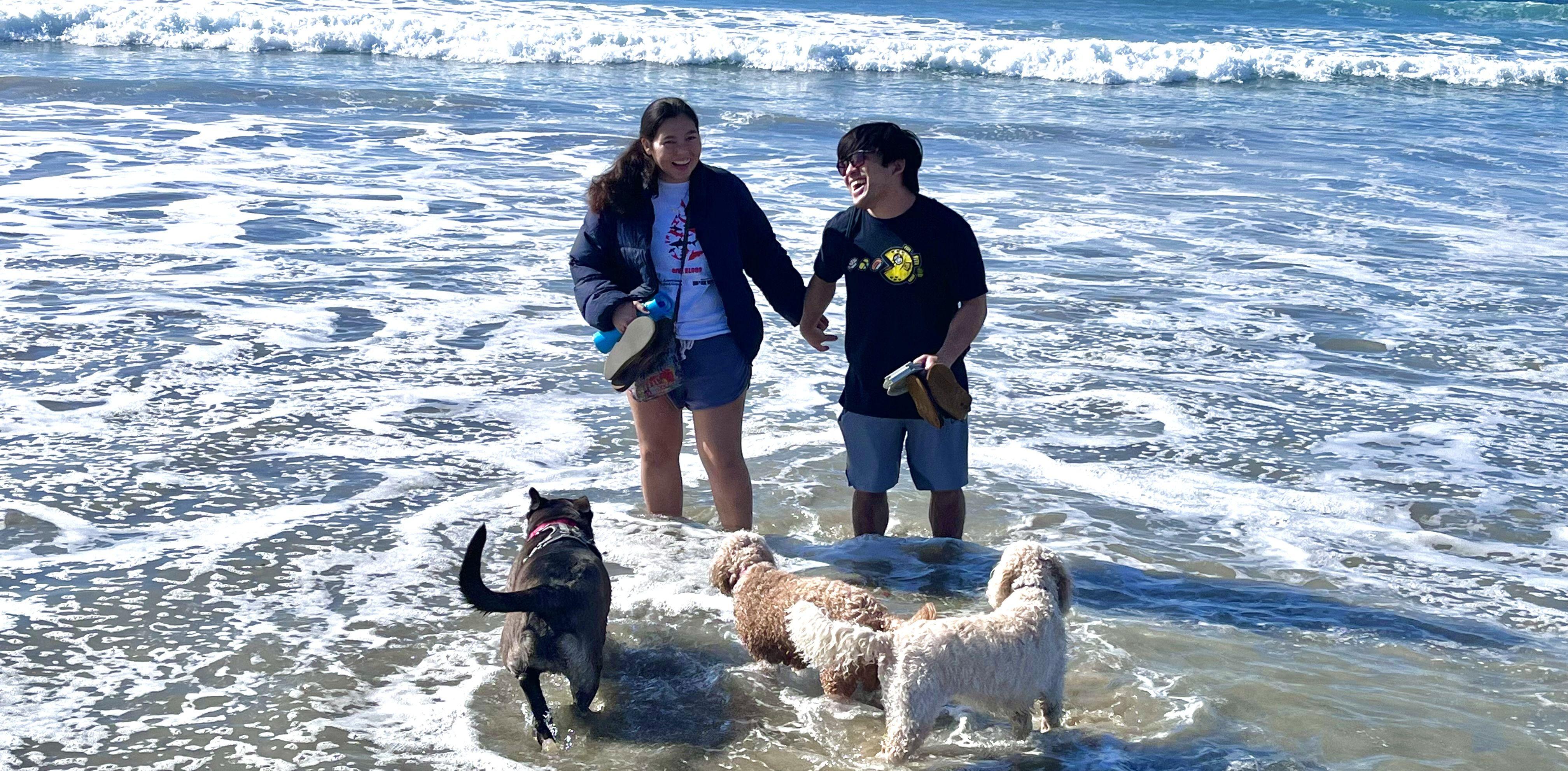 The Wedding Website of Aaron Fukuhara and Tiara Fukuhara