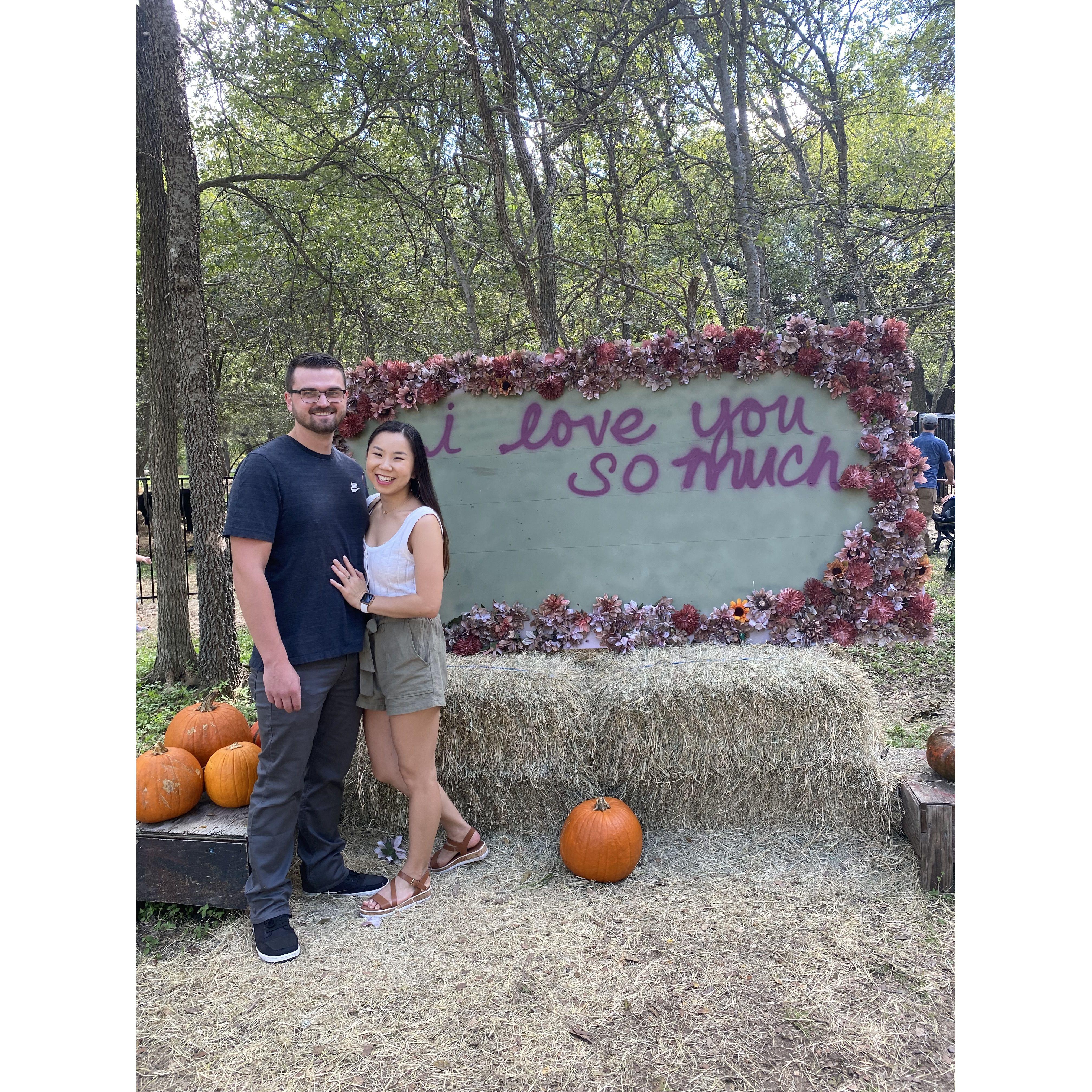 Pumpkin patch in Austin, Texas.