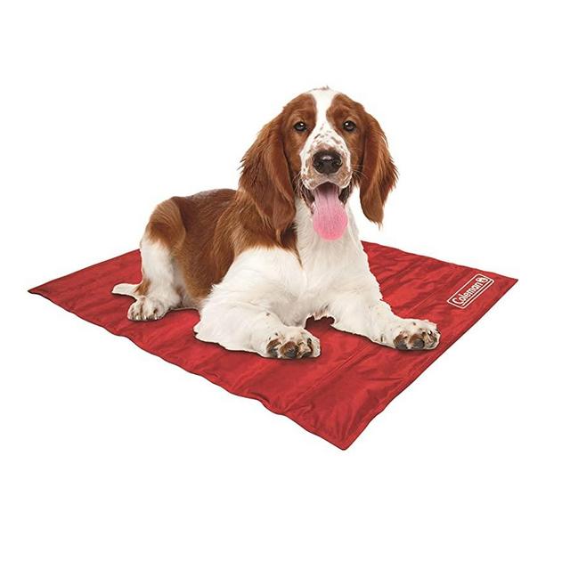 Coleman Pressure Activated Comfort Cooling Gel Pet Pad Mat, for Medium Pets, Keep Your pet Cool, and Reduce Joint Pain. Year Round