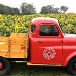 Butler's Orchard