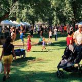 Elmwood-Bidwell Farmers' Market
