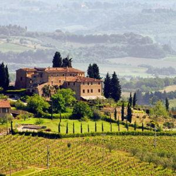 Wine Tasting in Tuscany