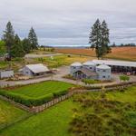 Abbey Road Farm