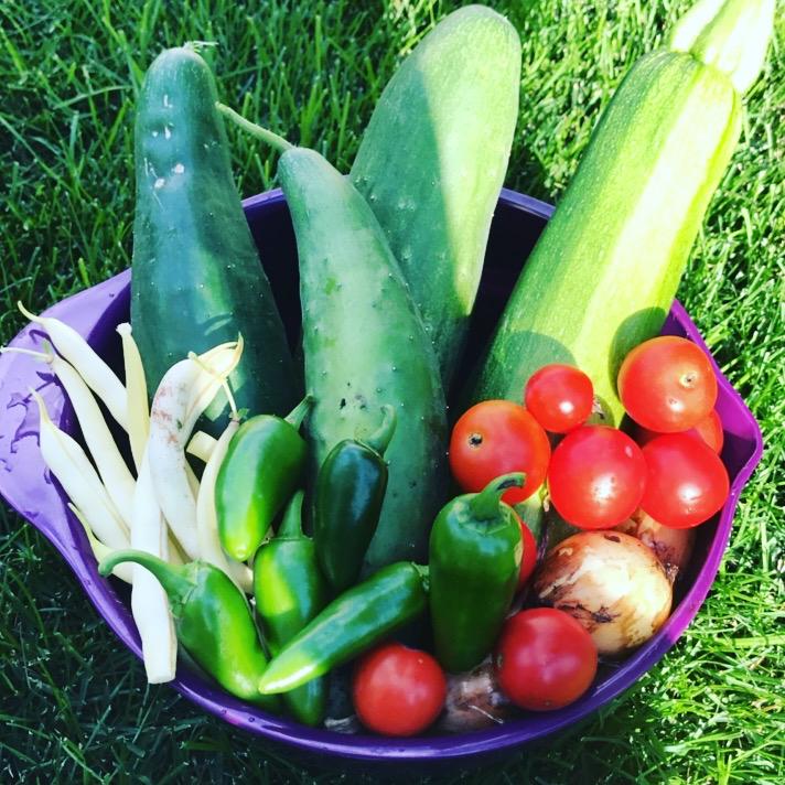 🫙Jars for veggies from our garden 🥒🌶️🫑