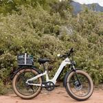 Ebikes Zion - Powered By Zionic Adventures