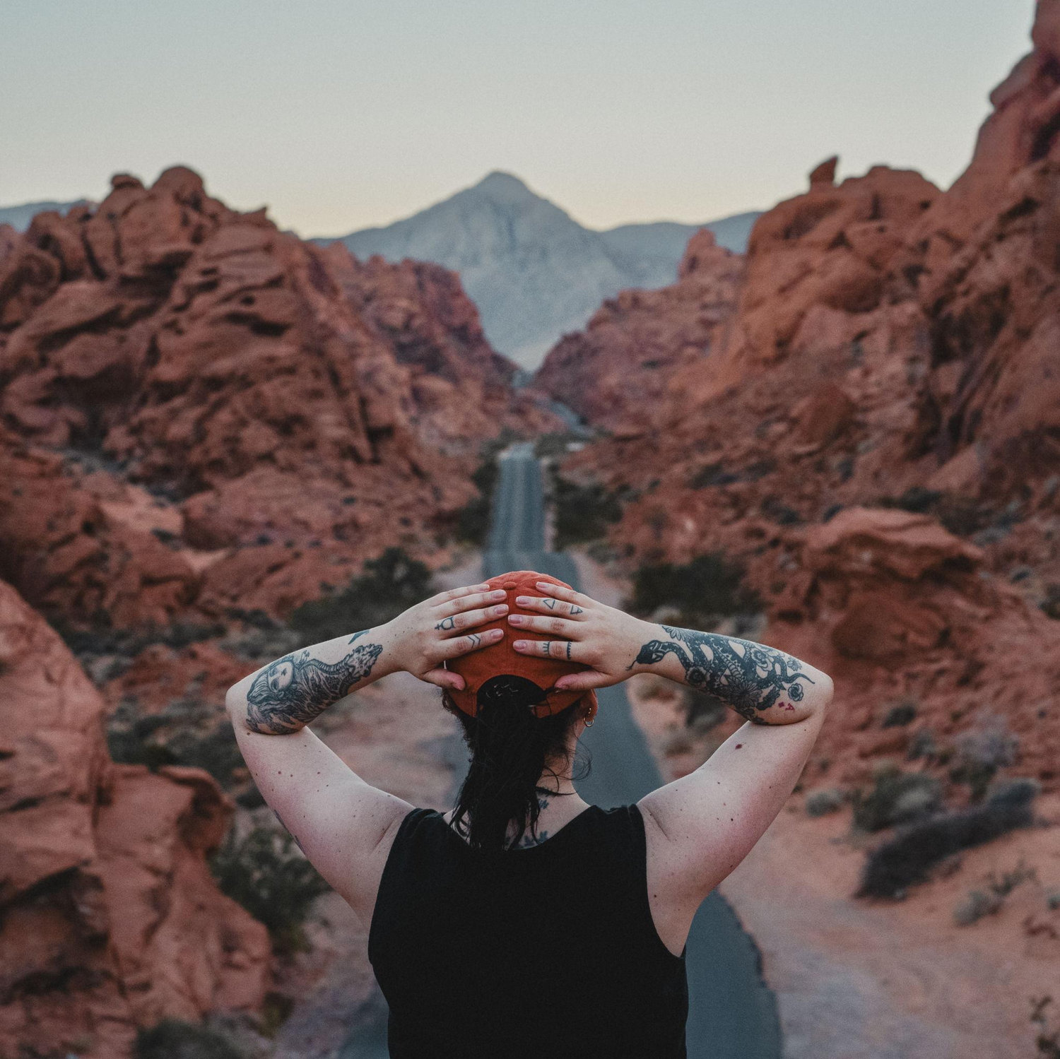 2024 | Valley of Fire, Nevada