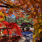 Norfolk Botanical Garden