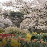 Longwood Gardens