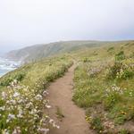 Point Reyes National Seashore