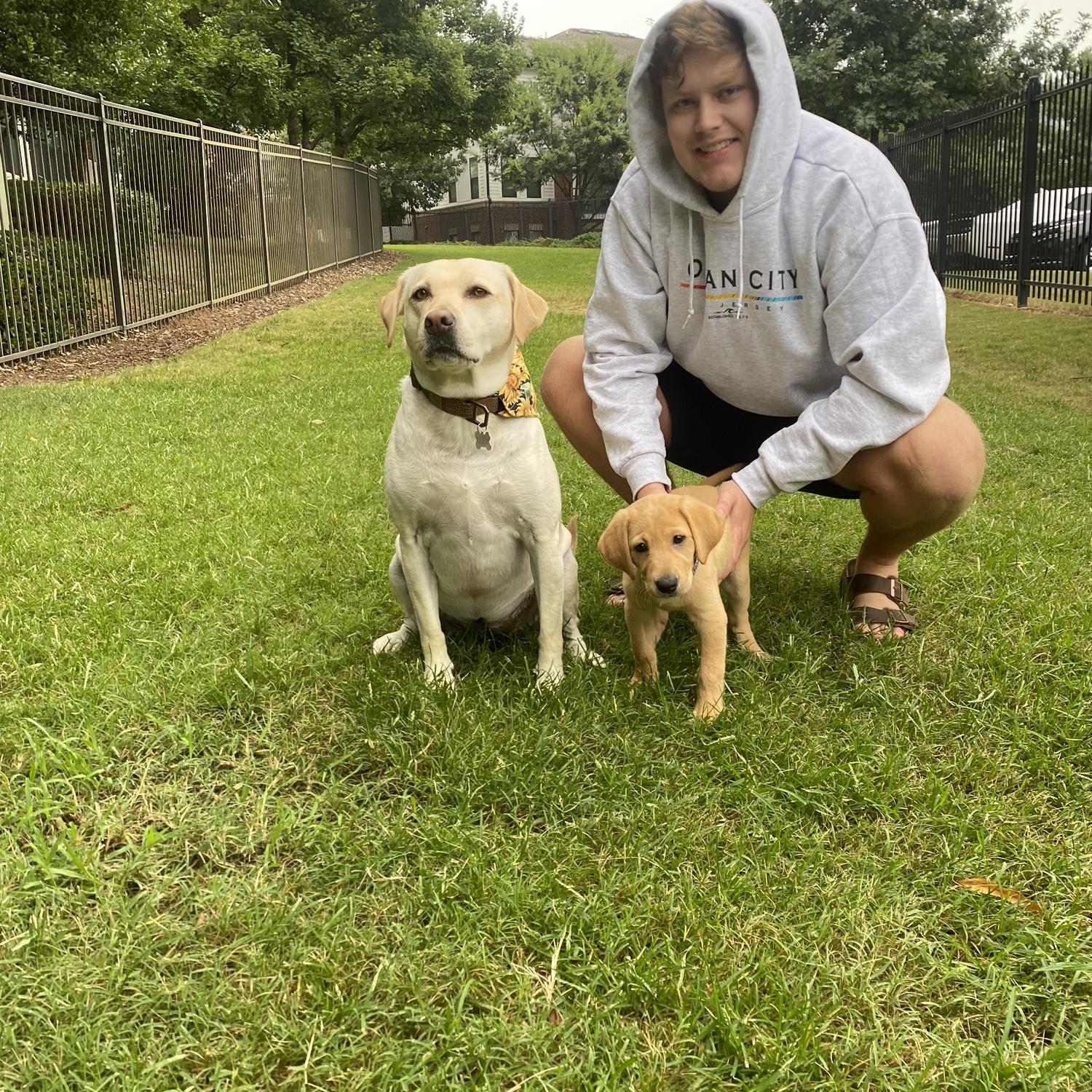 August 2022- Rachel & Treston welcome the newest member of their family, Harper, a yellow lab puppy!