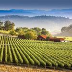 Bucks County Wine Trail