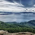 Oyster Dome
