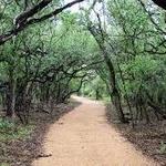 Phil Hardberger Park