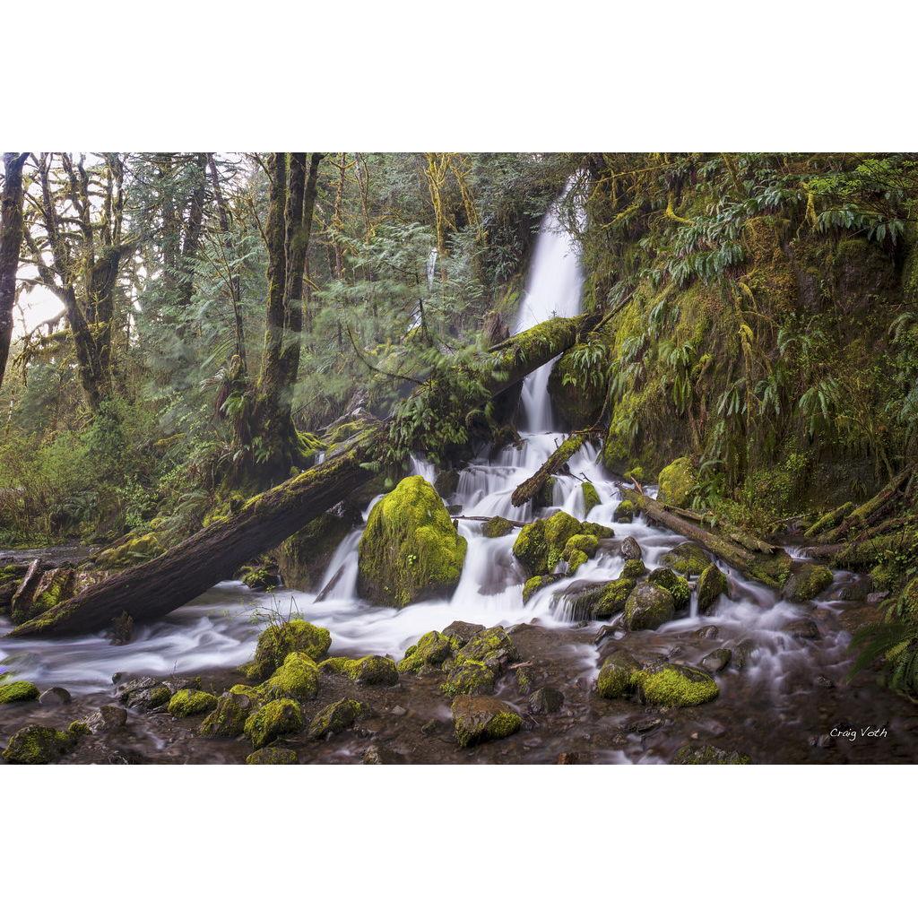 Merrimen Falls- Quinalt Rainforest