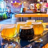 Dark Sky Brewing Co.