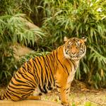 Smithsonian National Zoological Park