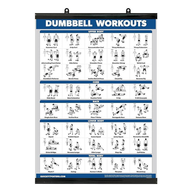 Exercise Poster for Dumbbell Training - Includes Instructions for Bodybuilding - Home Gym Chart - Laminated with Plastic Frame - 18" x 24"