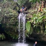 El Yunque National Forest