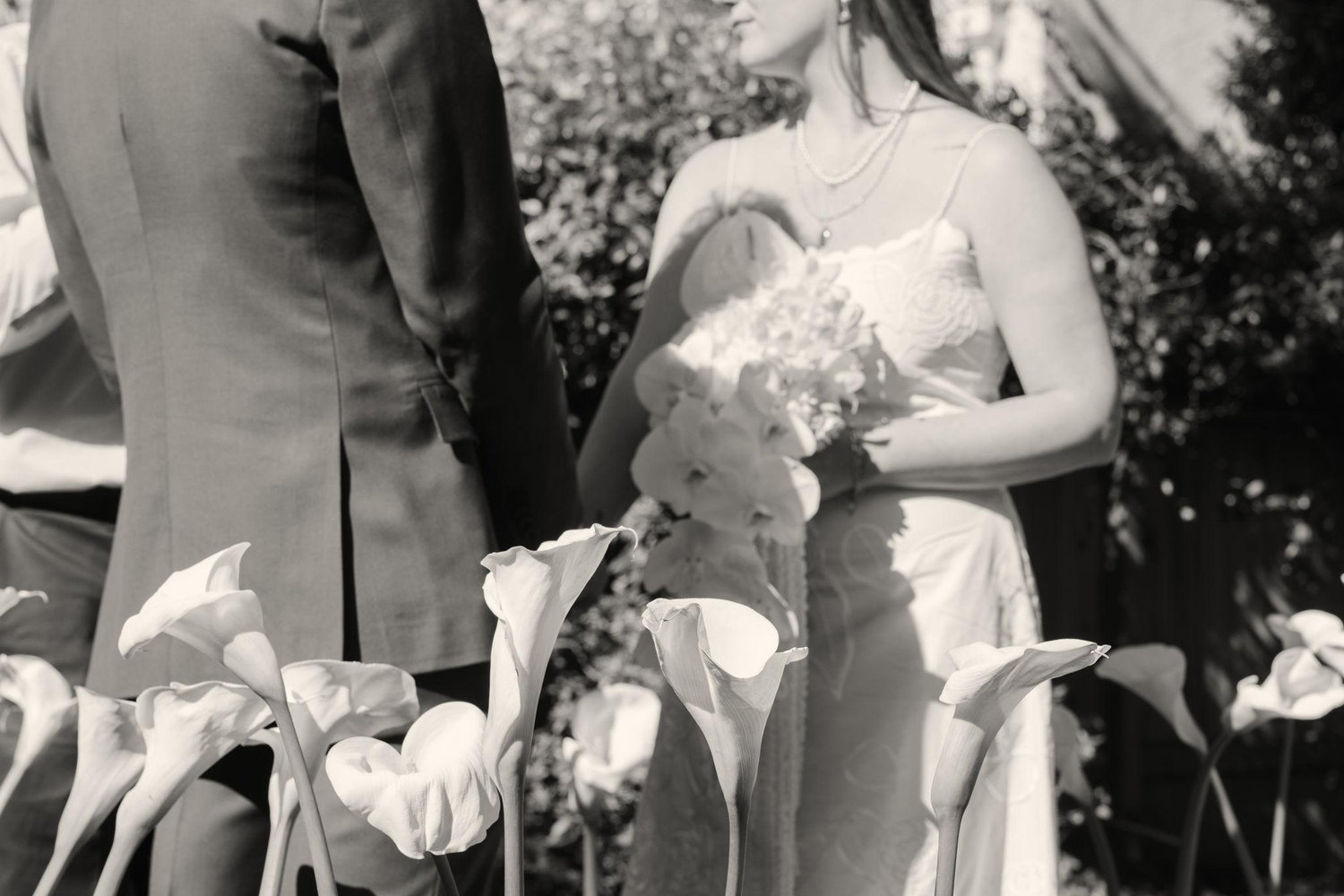 The Wedding Website of Violet Cotner and Morrison Cotner