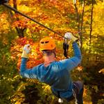 ArborTrek Canopy Adventures