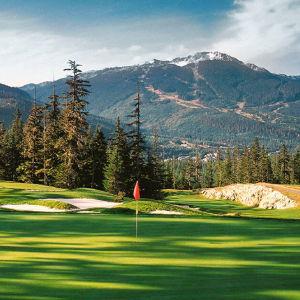 Our newlywed Golf fund