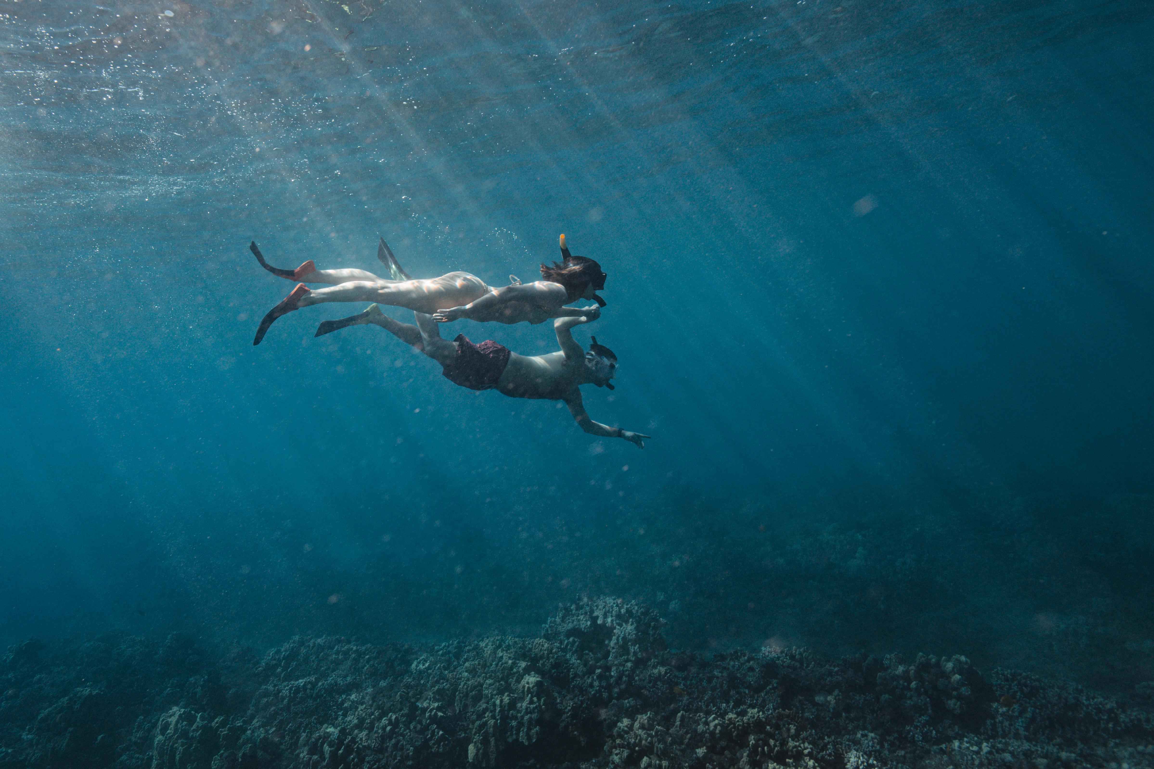 The Wedding Website of Mollie Moses and Nick Robertson