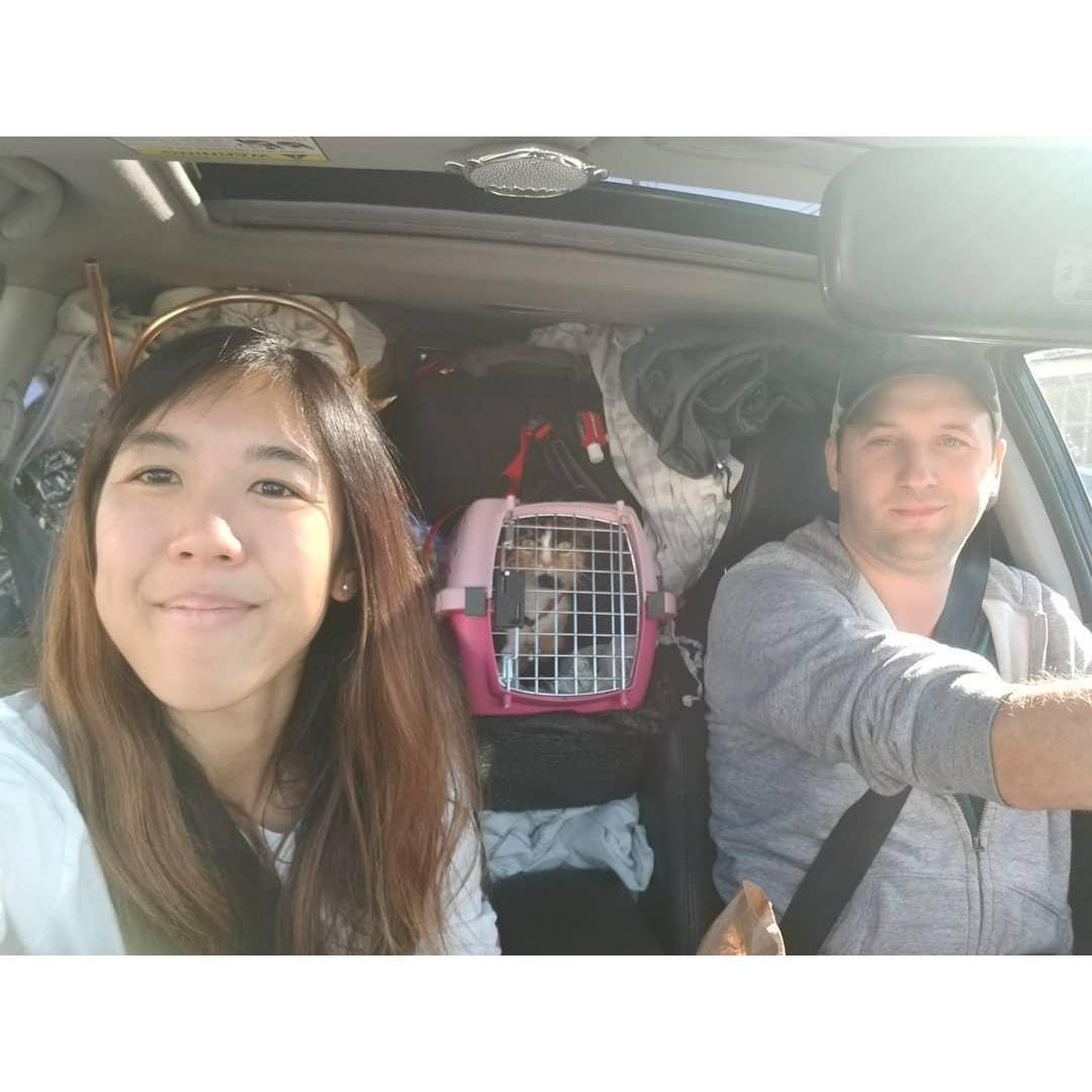 Cross country road trip