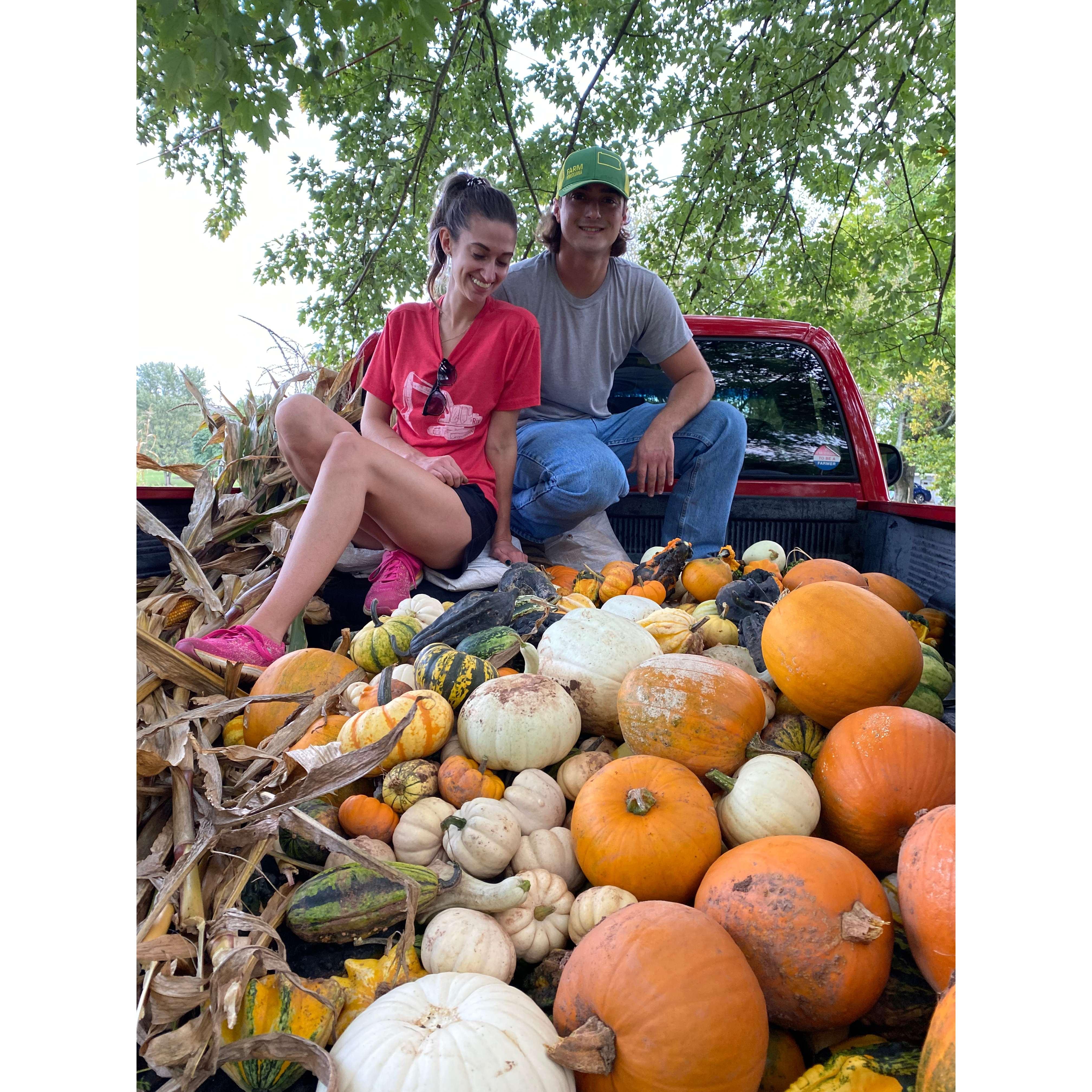 Our first pumpkin and gourd harvest :)