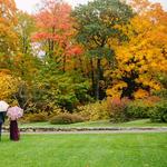 Arnold Arboretum of Harvard University