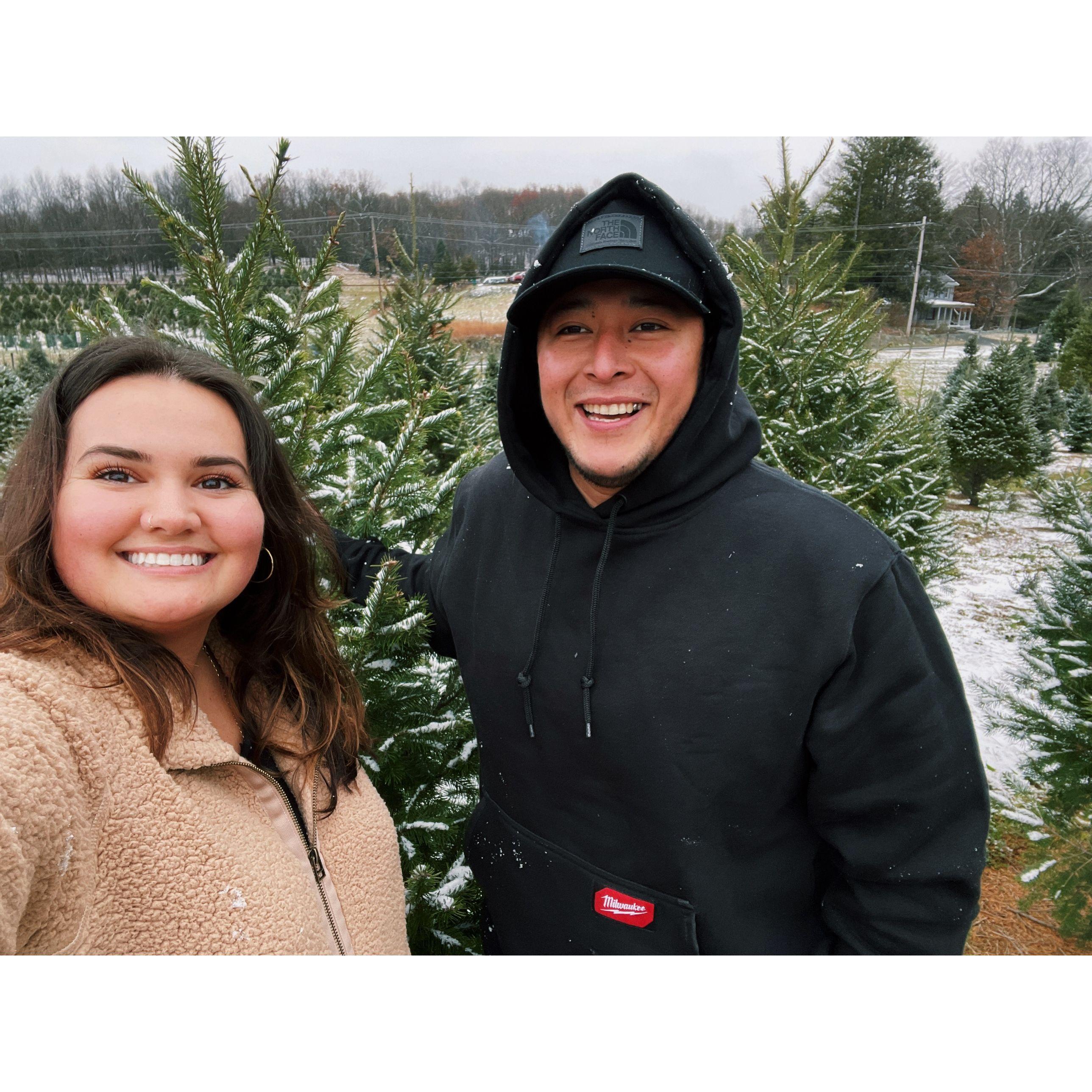 Our first Christmas tree in 2021!