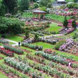 International Rose Test Garden