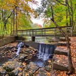 Flat Rock Brook Nature Center