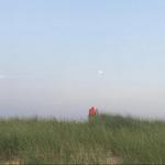 Long Point Wildlife Refuge
