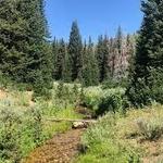 Easy Hike- Mill Creek to Lookout