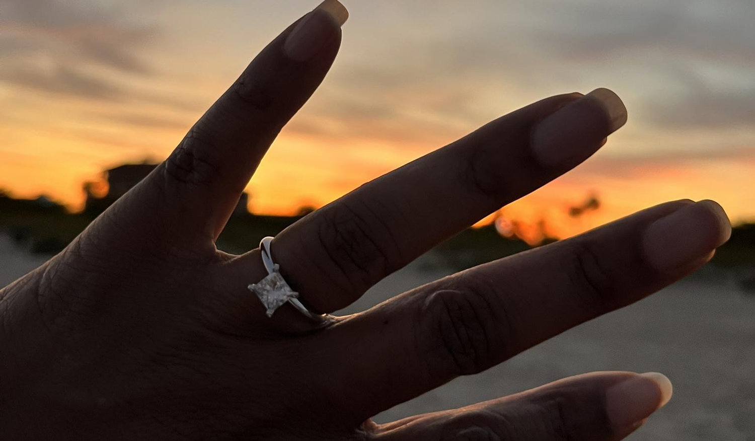 The Wedding Website of ShaRita Young and DeWayne Fincher