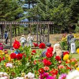 Mendocino Coast Botanical Gardens