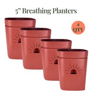 Classic Earth Planter 5" - Clay - 3 pack