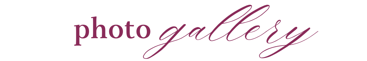 The Wedding Website of Kailey Michelle Hunter and Dalton Raymond Greco