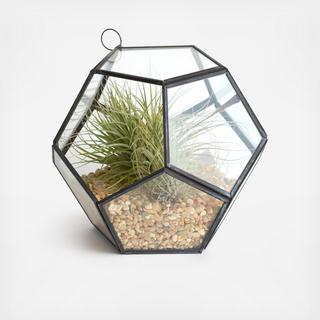 Geometric Orb Air Plant Terrarium