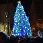 Christmas Tree at Public Square