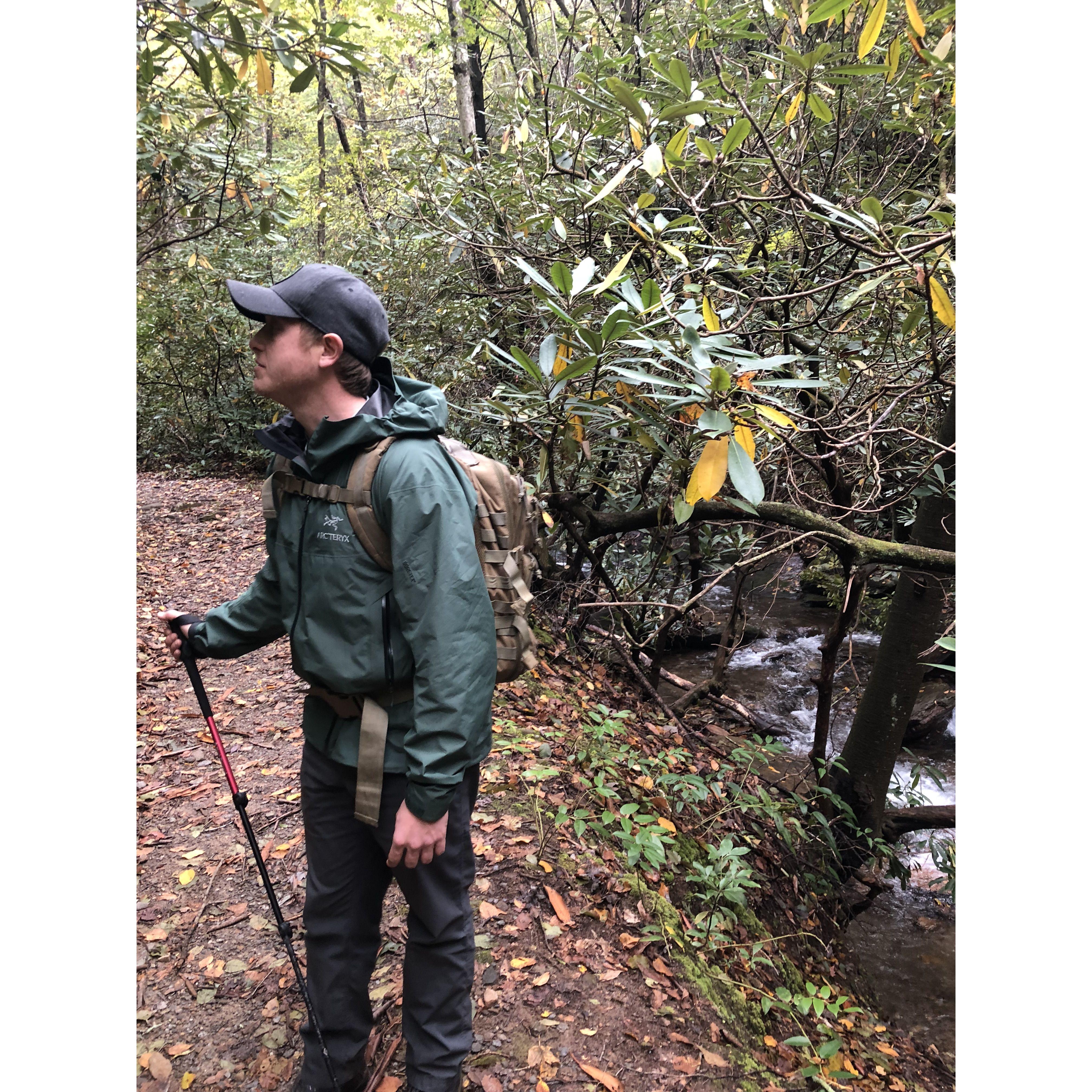 Pisgah National Forest