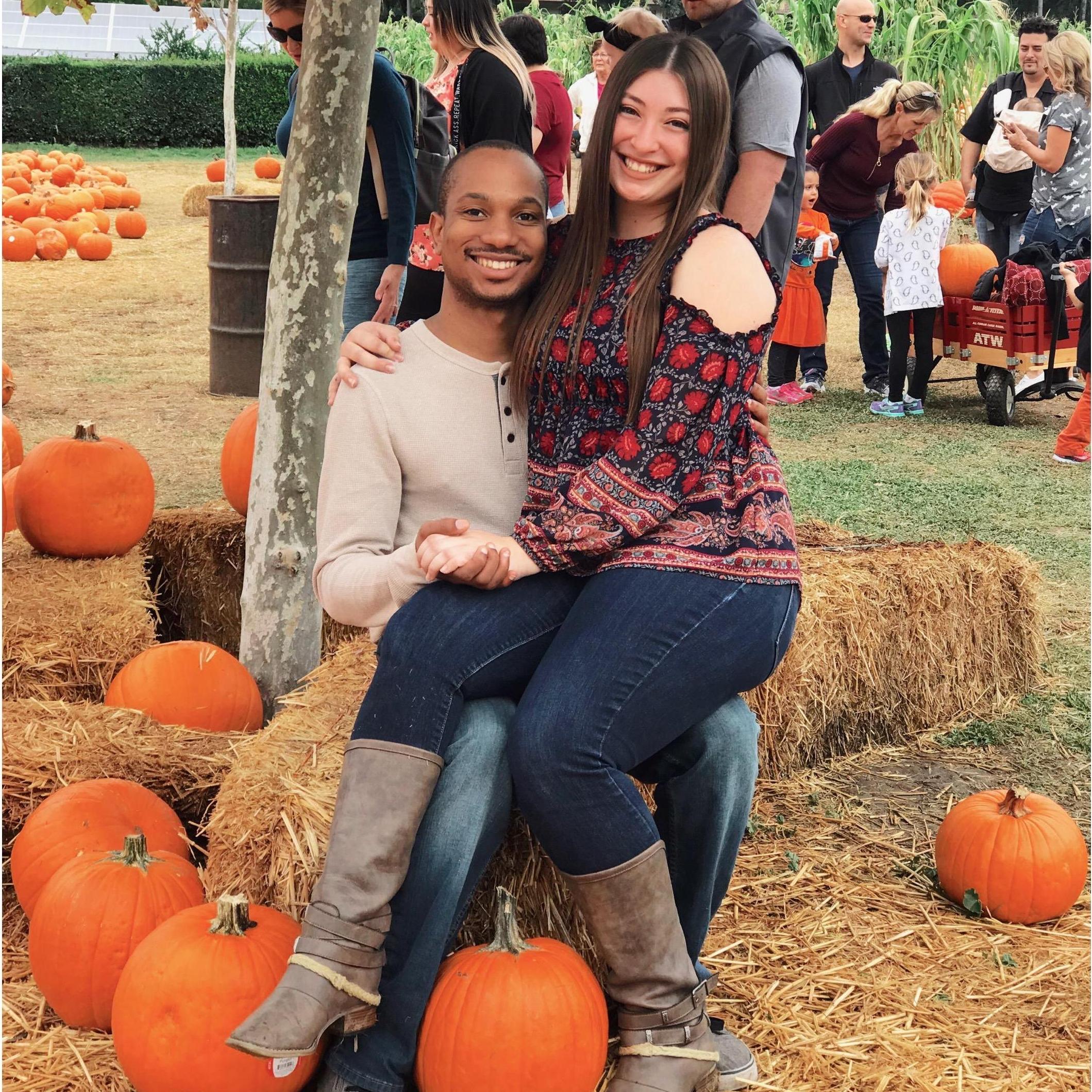 PUMPKIN PATCH