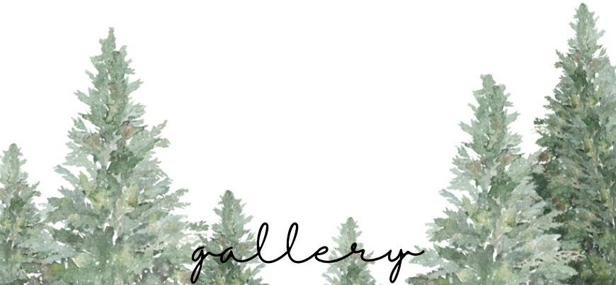 The Wedding Website of Carm Runco and Matt Dann
