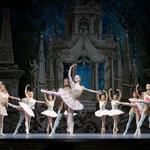 War Memorial Opera House