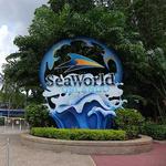 Sea World