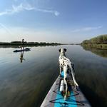 Float the Teton River