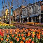 Pearl Street Mall
